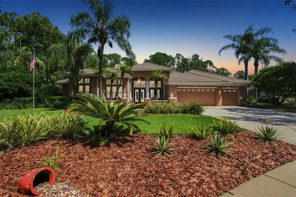9212 Pine Island Court, TAMPA, FL 33647