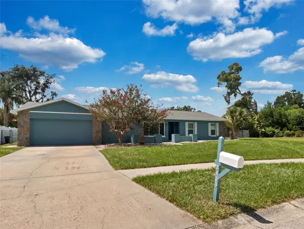 2423 Buckhorn Manor Drive, VALRICO, FL 33594