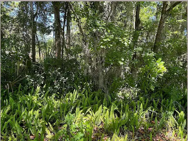 Union Street, BROOKSVILLE, FL 34601