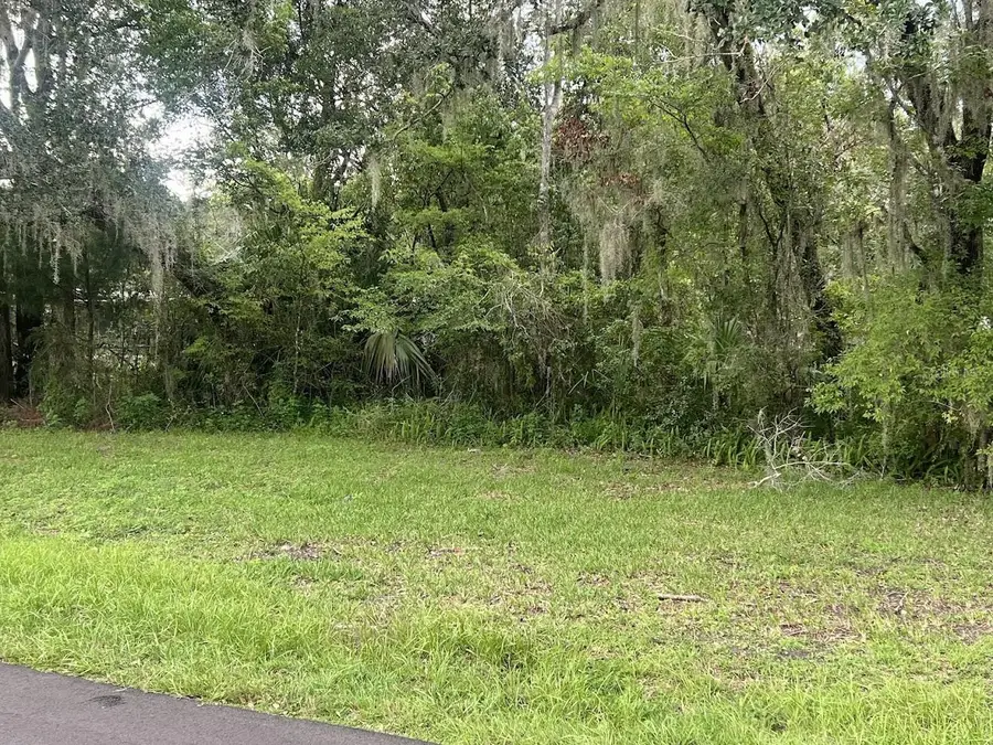 Union Street, Brooksville, FL 34601 - #3