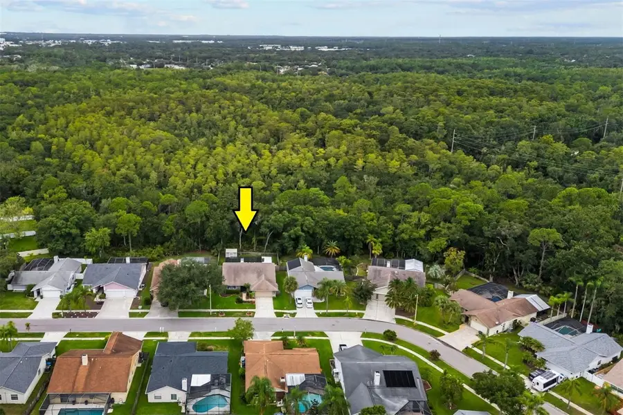 11910 Steppingstone Blvd Boulevard, Tampa, FL 33635 - #3