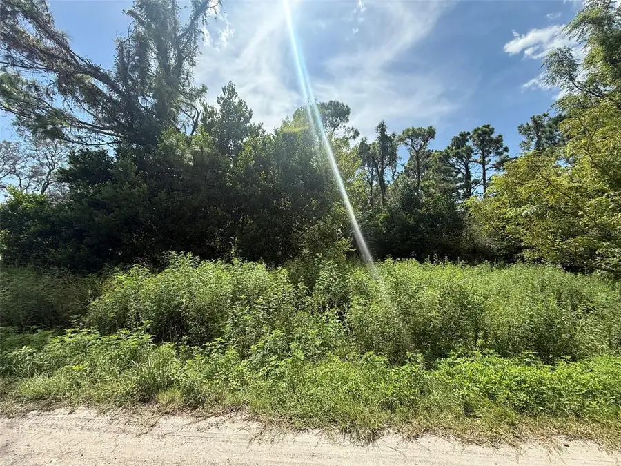 Star Road, Brooksville, FL 34613 - #2
