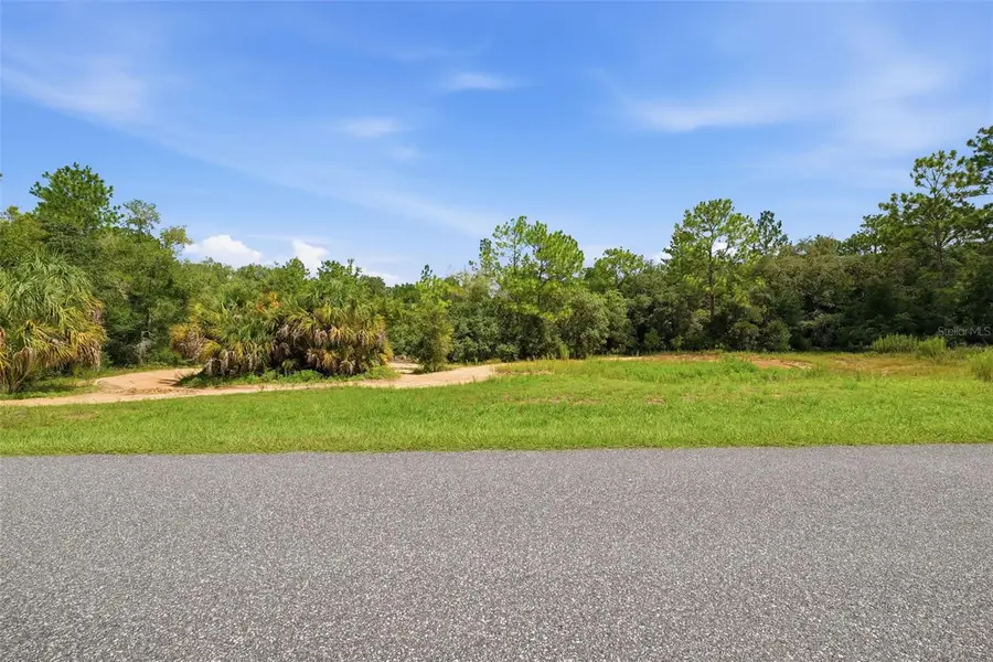 1345 E Ray Street, Hernando, FL 34442 - #3