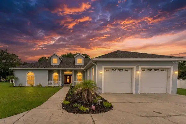 1318 Little Alafia Drive, PLANT CITY, FL 33567