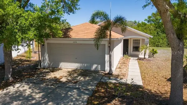 11236 Summer Star Drive, RIVERVIEW, FL 33579