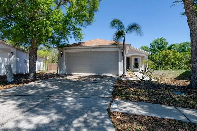 11236 Summer Star Drive, Riverview, FL 33579 - #2