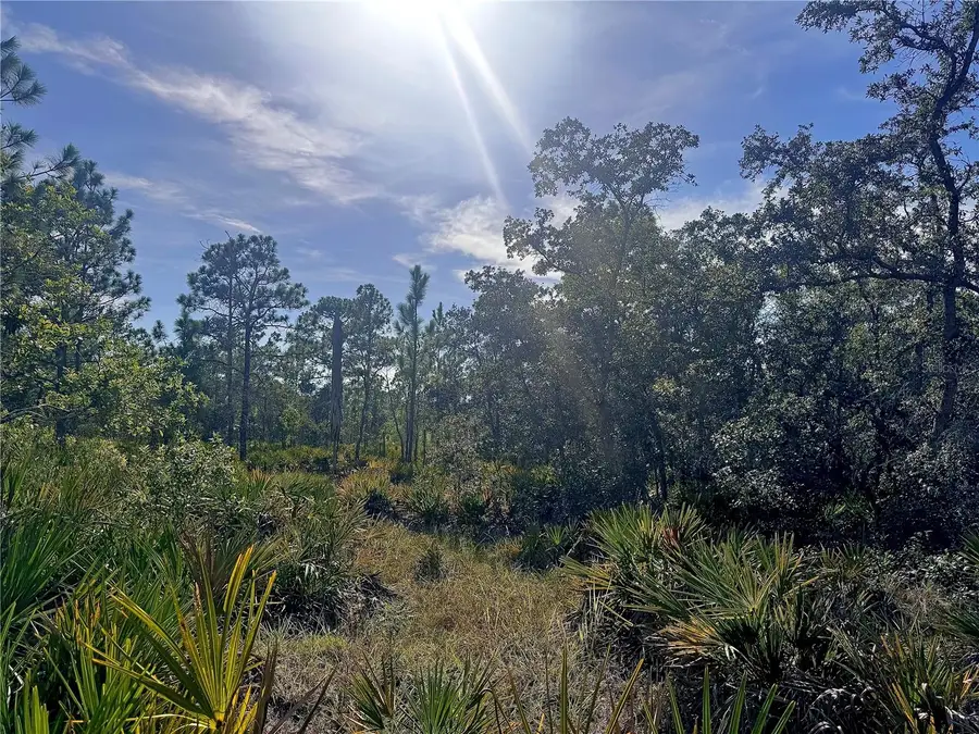 Rydal Road, Weeki Wachee, FL 34614 - #3