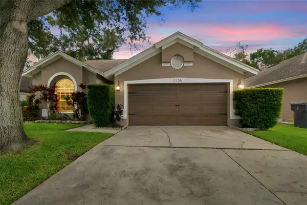 7736 Marbella Creek Avenue, TAMPA, FL 33615