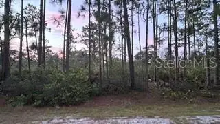 116 (BLK 62 LOT 8) Camellia Drive, Indian Lake Estates, FL 33855 - #1