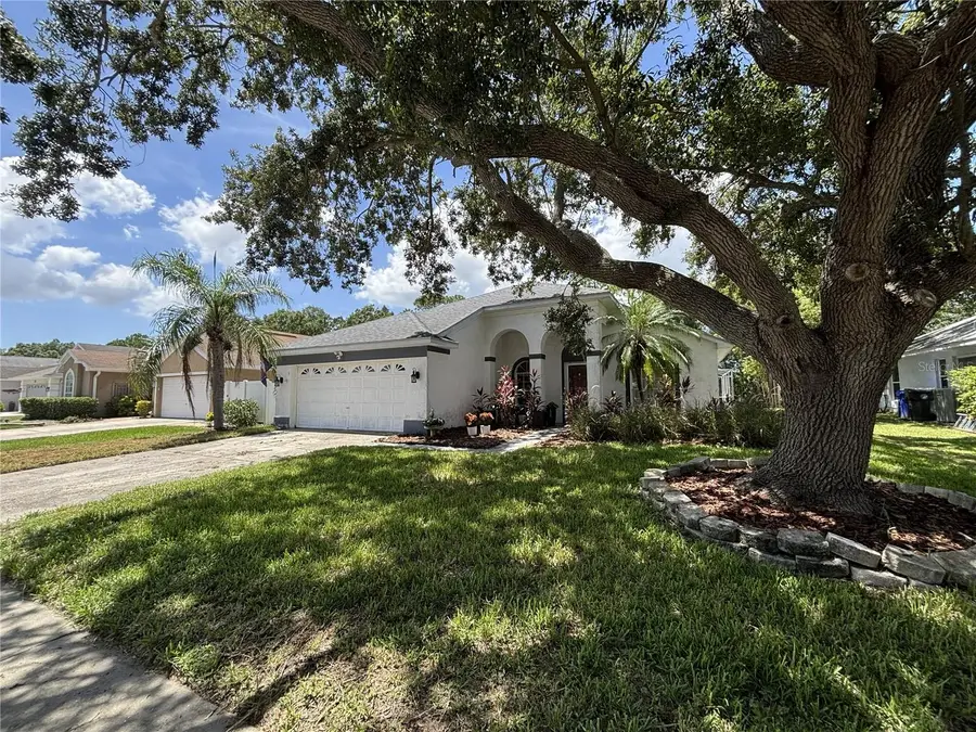 348 Fountainview Circle, Oldsmar, FL 34677 - #3