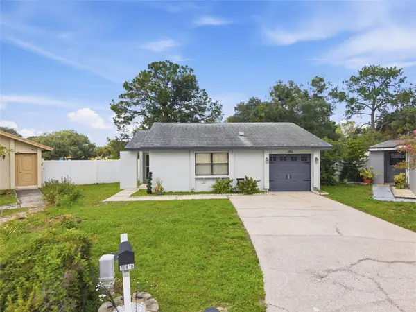 10816 Fairfield Village Drive, TAMPA, FL 33624
