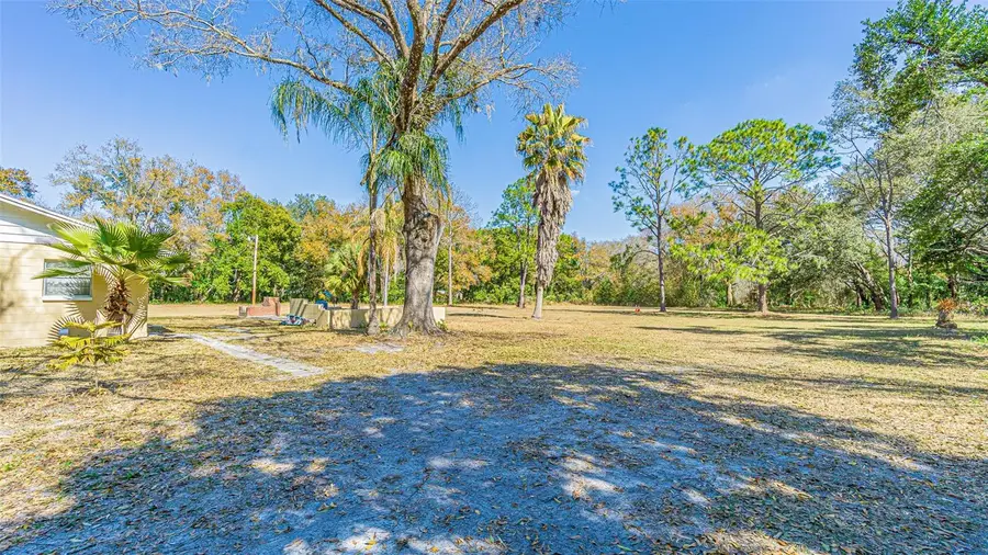 3902 Autumn Palm Drive, Zephyrhills, FL 33541 - #3