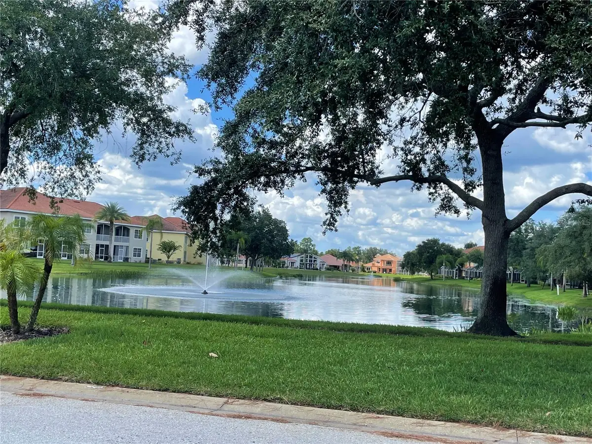 21127 San Pablo Drive, Land O Lakes, FL 34637 - #1