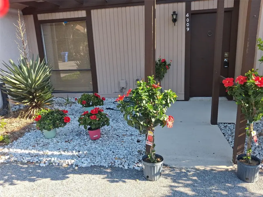 4009 Muriel Place, Tampa, FL 33614 - #2