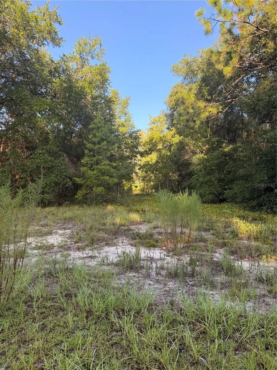 115 Orange Tree Court, Melrose, FL 32666 - #1