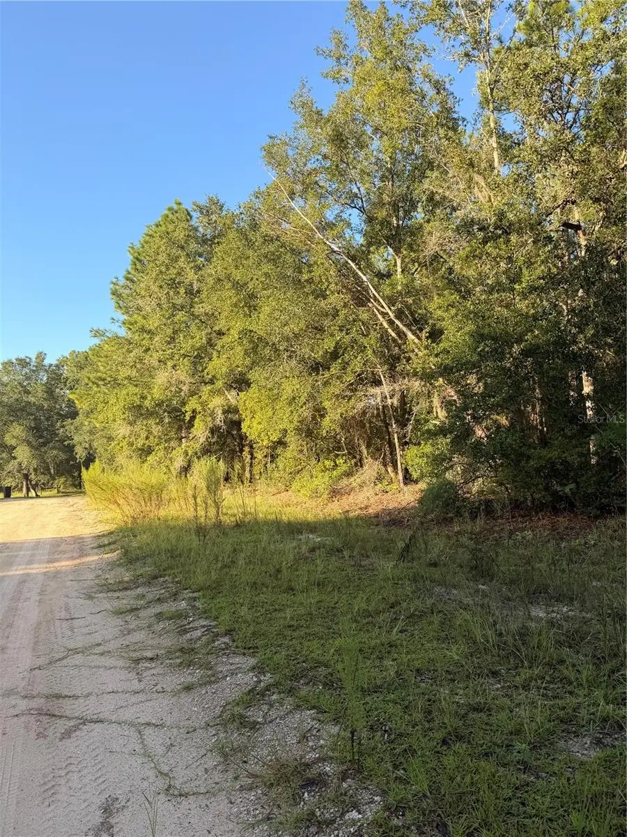 115 Orange Tree Court, Melrose, FL 32666 - #3