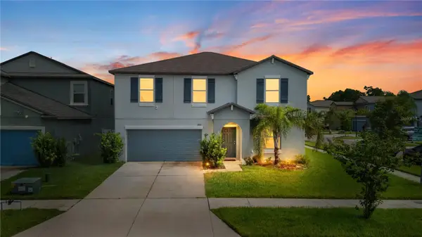7420 Pearly Everlasting Avenue, TAMPA, FL 33619