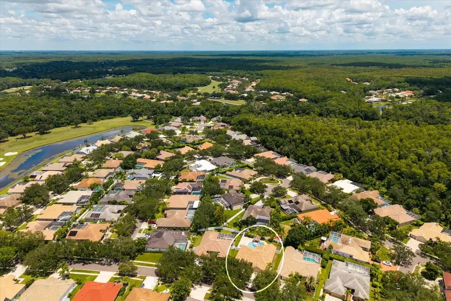 1723 Captiva Drive, Oldsmar, FL 34677 - #2