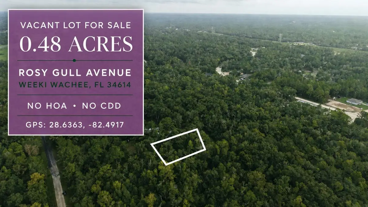 14186 Rosy Gull Avenue, Weeki Wachee, FL 34614 - #1