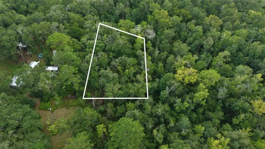 14186 Rosy Gull Avenue, Weeki Wachee, FL 34614 - #2