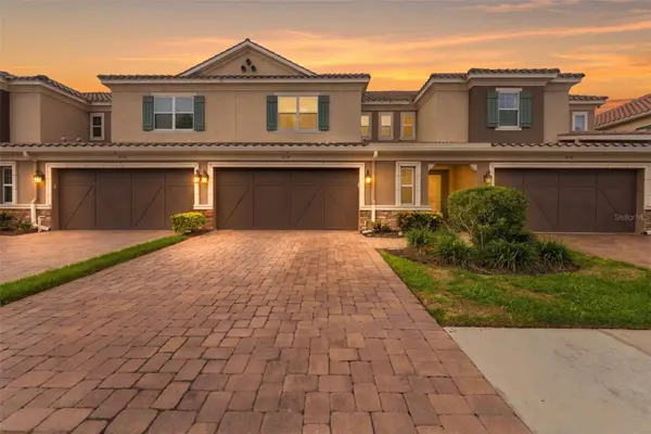 8738 Terracina Lake Drive, TAMPA, FL 33625
