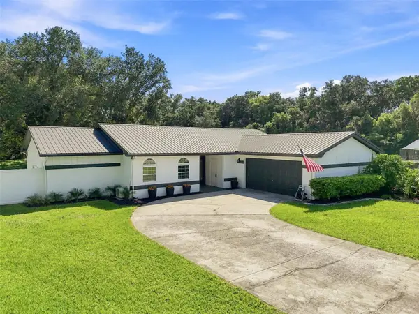 7233 Woodbrook Drive, TAMPA, FL 33625