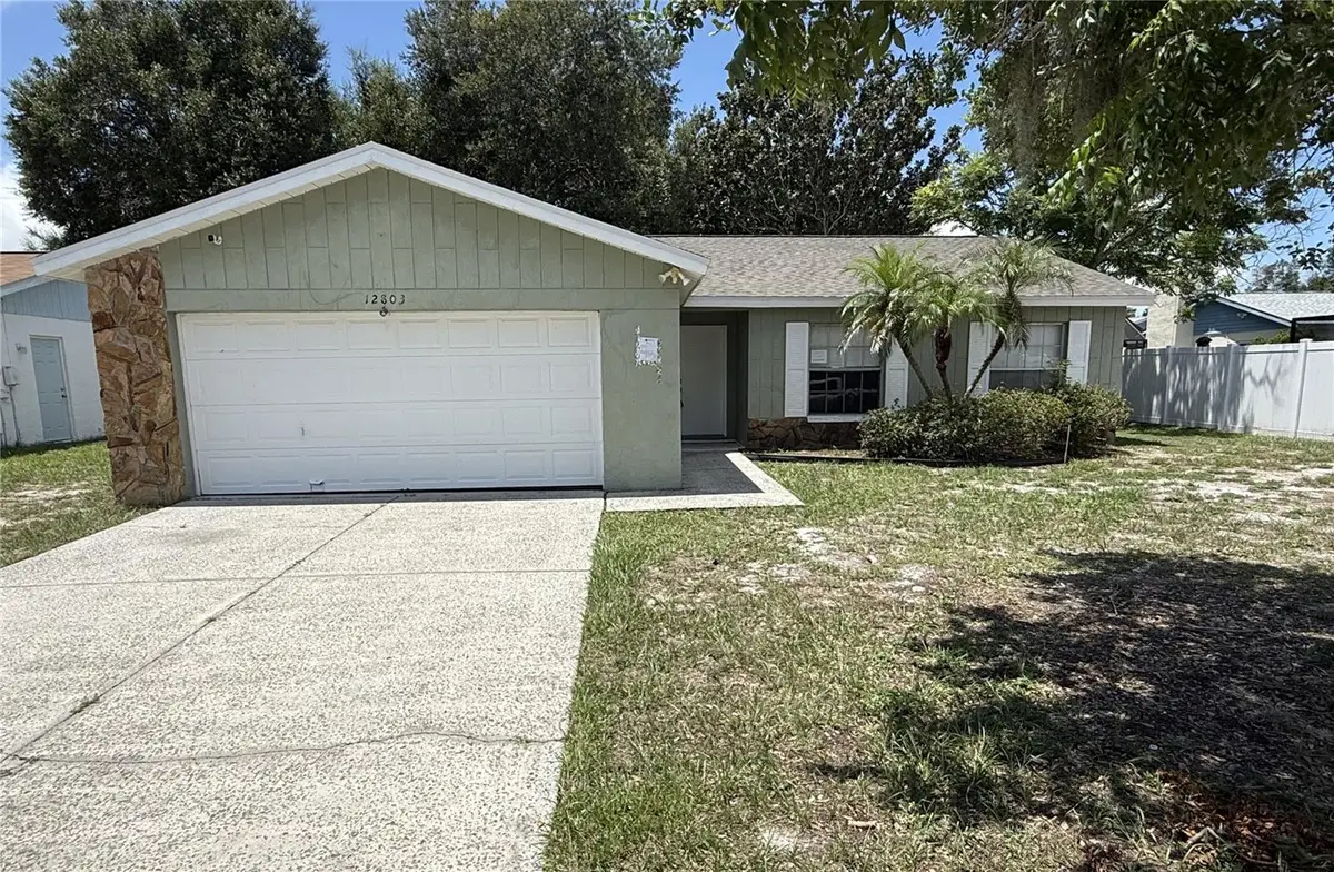 12803 Slippery Elm Court, Riverview, FL 33579 - #1