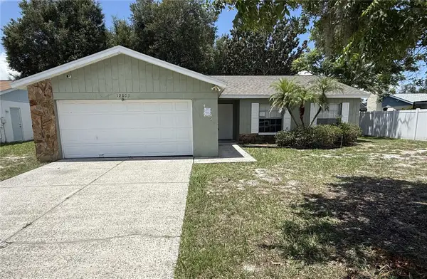 12803 Slippery Elm Court, RIVERVIEW, FL 33579
