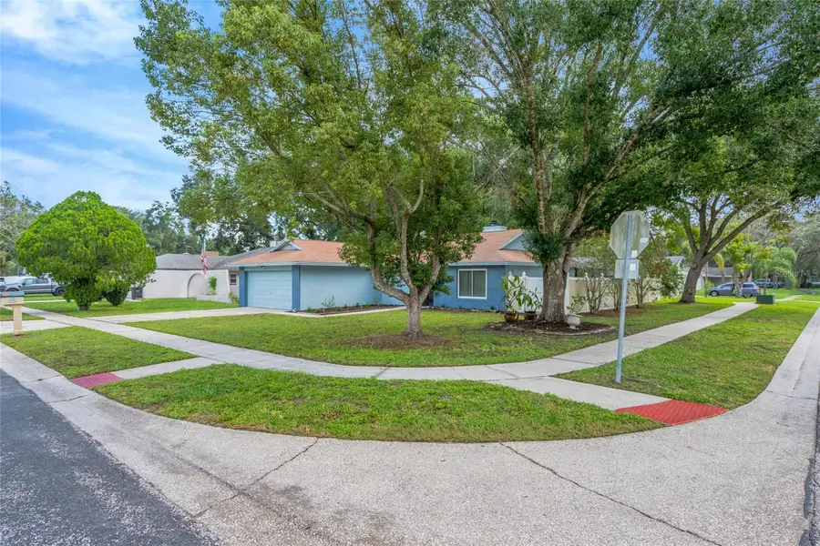 17717 Cranbrook Drive, Lutz, FL 33549 - #3