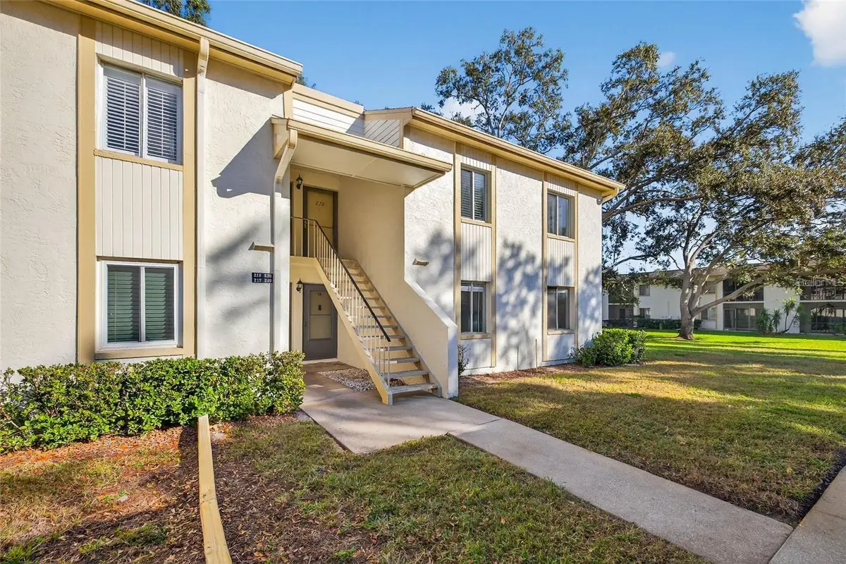 219 Palmetto Court #219, Oldsmar, FL 34677 - #1