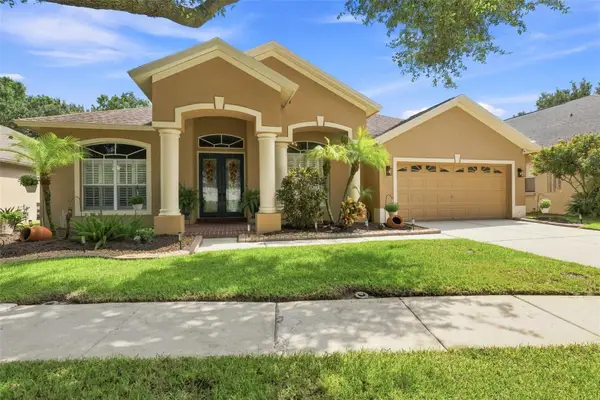 19803 Glazing Globe Lane, LUTZ, FL 33558