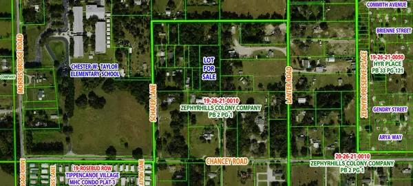 A Street, ZEPHYRHILLS, FL 33542
