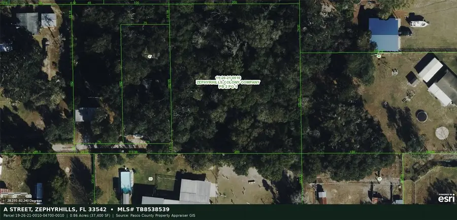 A Street, Zephyrhills, FL 33542 - #2