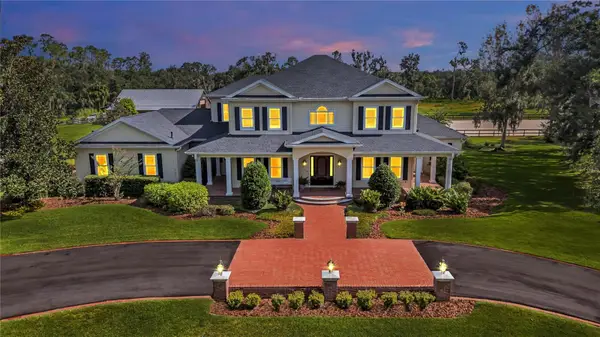 17930 Dorman Road, LITHIA, FL 33547