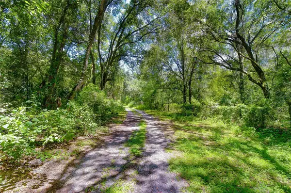 3801 Pate Road, ZEPHYRHILLS, FL 33541