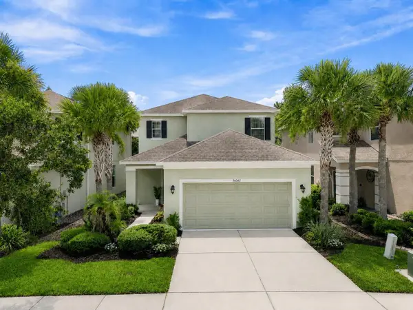 16065 Bella Woods Drive, TAMPA, FL 33647