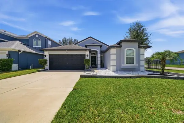 4037 Warwick Hills Drive, WESLEY CHAPEL, FL 33543