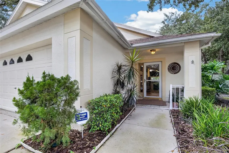 5848 Meadowpark Place, Lithia, FL 33547 - #3