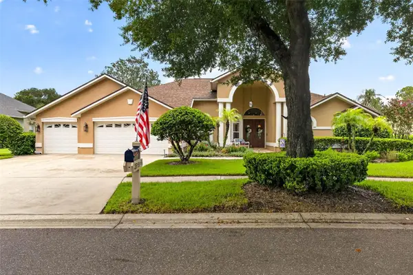 3918 S Nine Drive, VALRICO, FL 33596