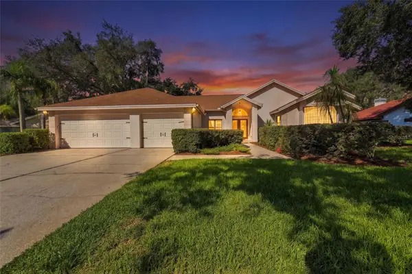 15923 Ellsworth Drive, TAMPA, FL 33647