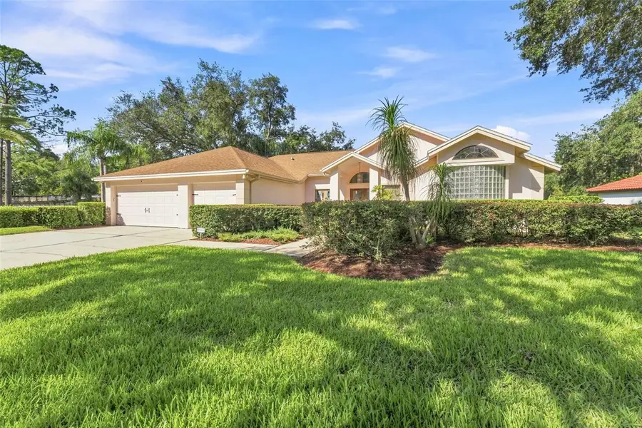 15923 Ellsworth Drive, Tampa, FL 33647 - #3