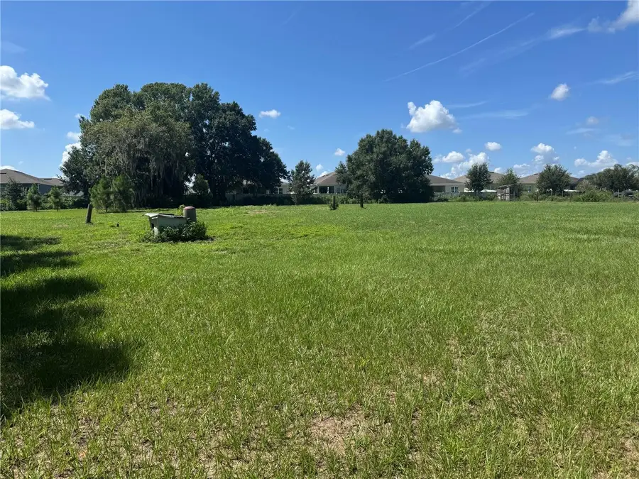 29244 Sanibel Drive, Wesley Chapel, FL 33544 - #3