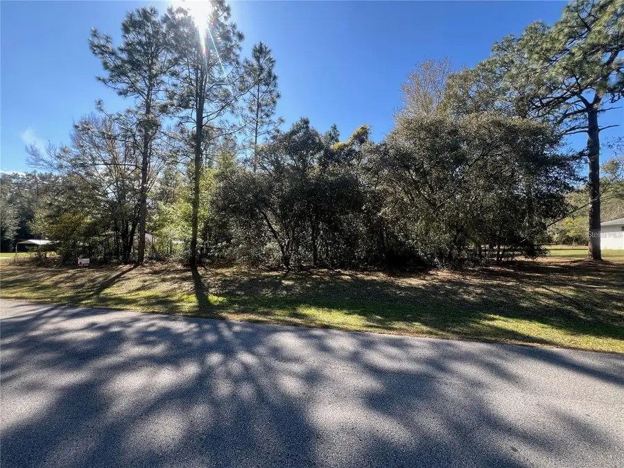 00 SW 196th Avenue, Dunnellon, FL 34431 - #2