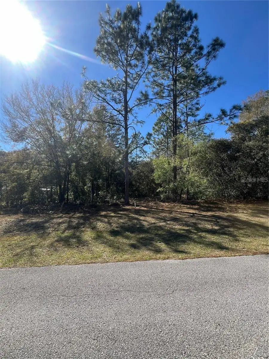 00 SW 196th Avenue, Dunnellon, FL 34431 - #3