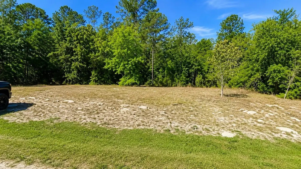 9480 N Athenia Drive, Citrus Springs, FL 34434 - #1