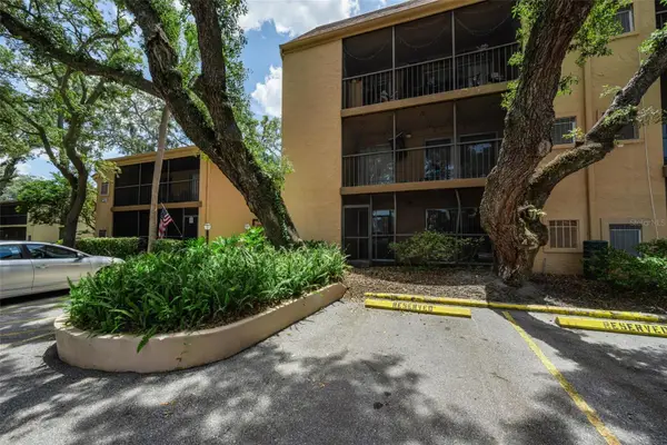 4411 Shady Terrace Lane #115, TAMPA, FL 33613