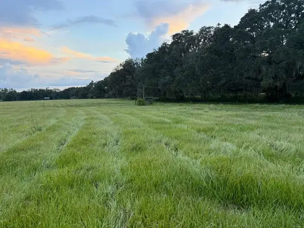 27900 Bayhead Road, DADE CITY, FL 33523