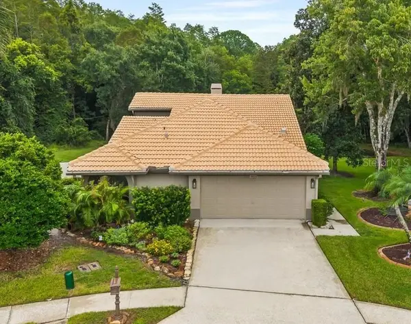 3600 Darston Street, PALM HARBOR, FL 34685