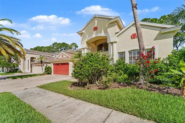 10409 Canary Isle Drive, TAMPA, FL 33647
