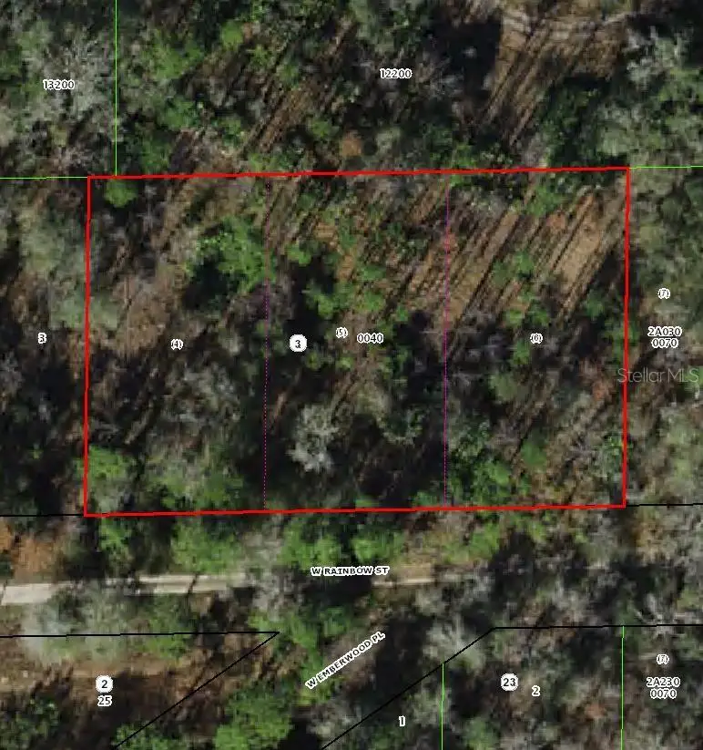 7265 W Rainbow Street, Dunnellon, FL 34433 - #1